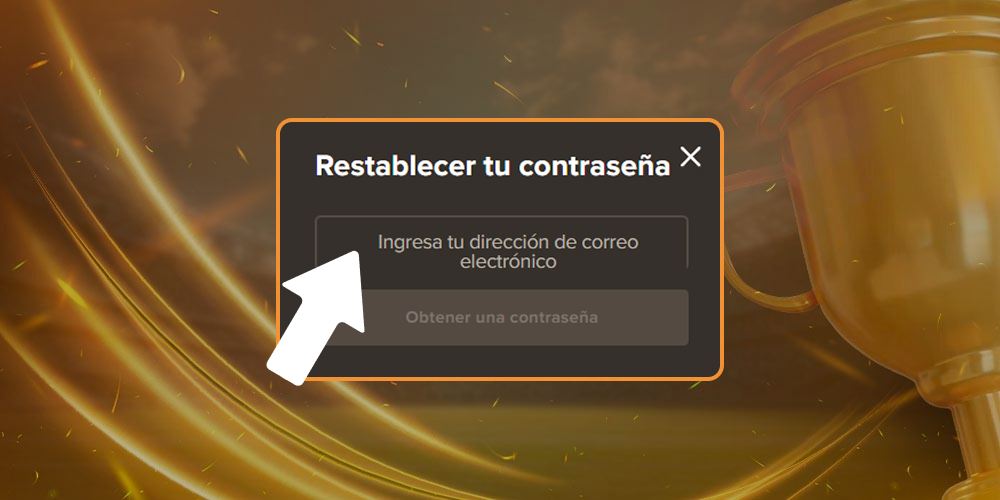 Rellene el campo con su dirección de correo electrónico.